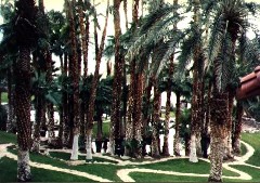 Furnace Creek; Death Valley California